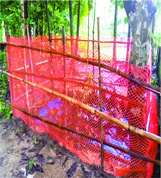 Image of মো: মিলন